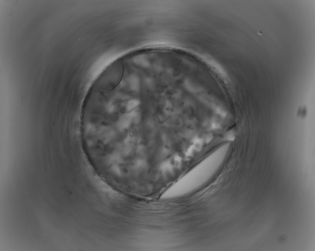 X0000091881279200709261344