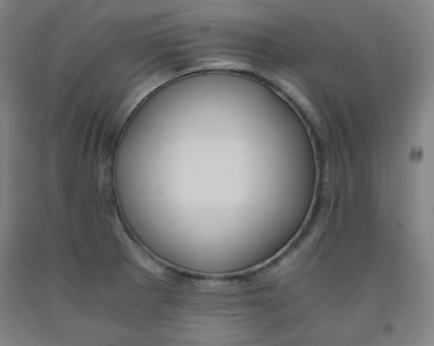 X0000091881281200709261344