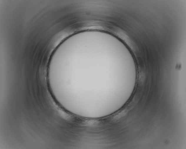 X0000091881282200709261343