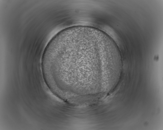 X0000091881283200709261343