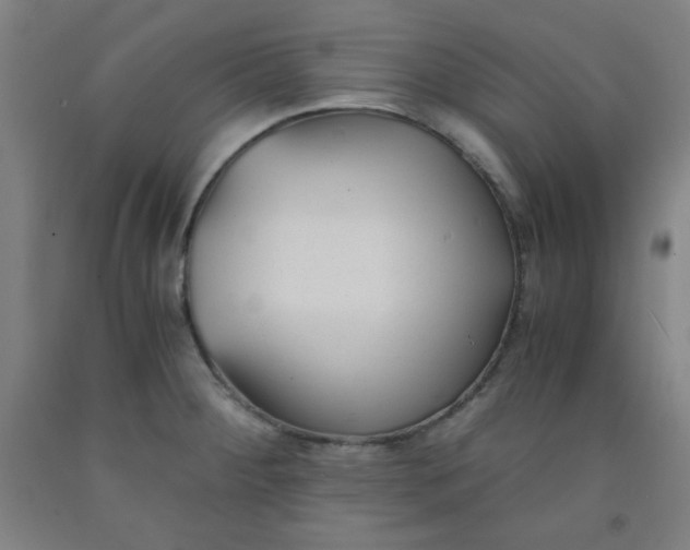 X0000091881284200709261343