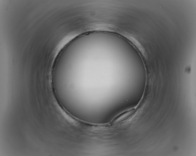 X0000091881285200709261343