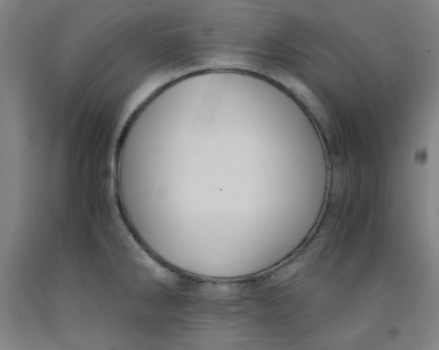 X0000091881286200709261343