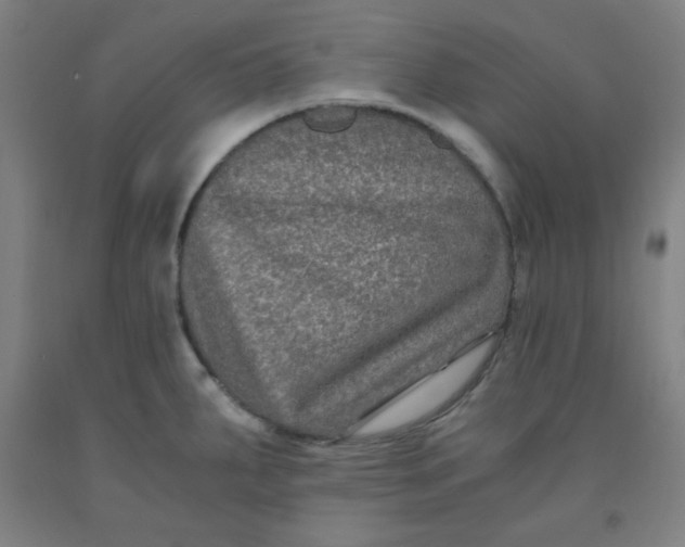 X0000091881287200709261343