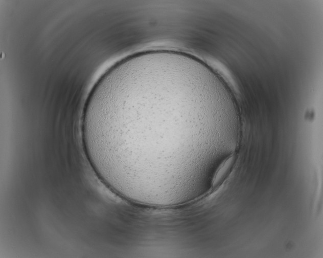 X0000091881288200709261343