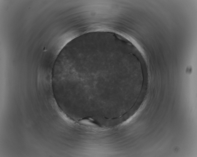 X0000091881289200709261343