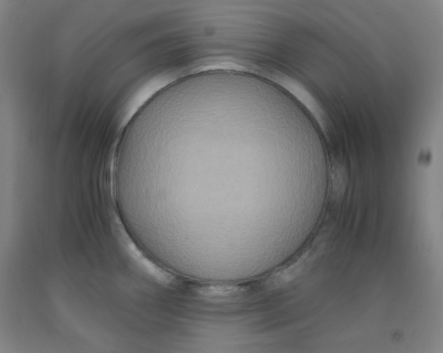 X0000091881290200709261343