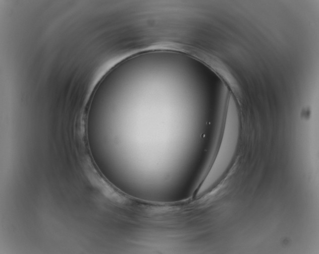 X0000091881292200709261343