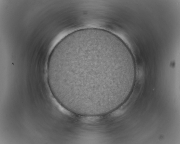 X0000091881294200709261343