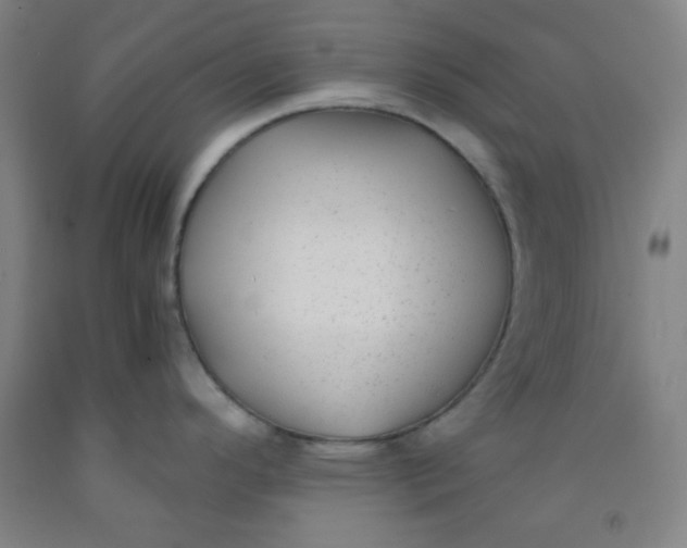 X0000091881296200709261343