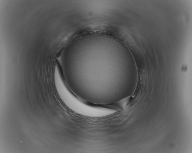 X0000091881298200709261343