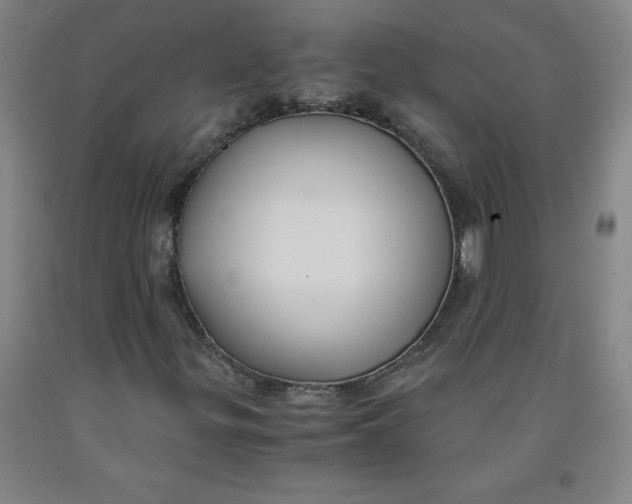 X0000091881299200709261343