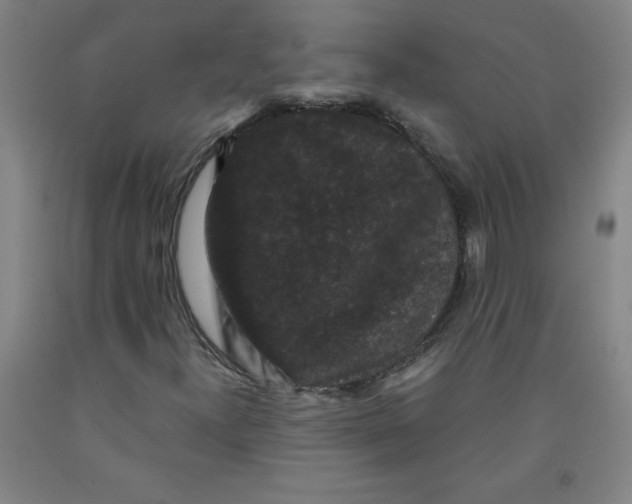 X0000091881300200709261343