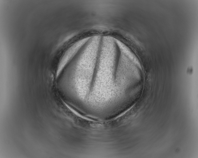 X0000091881302200709261343