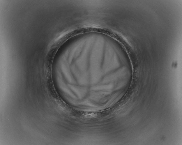 X0000091881303200709261343