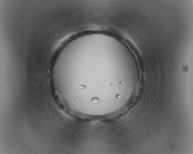 X0000091881304200709261343