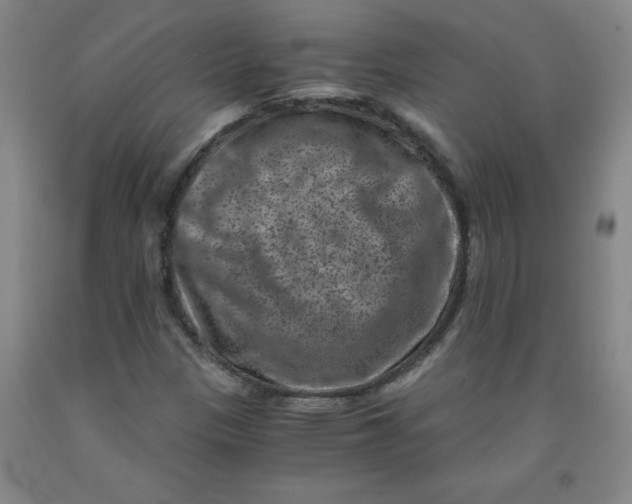 X0000091881305200709261343