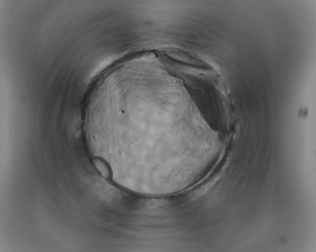 X0000091881306200709261343