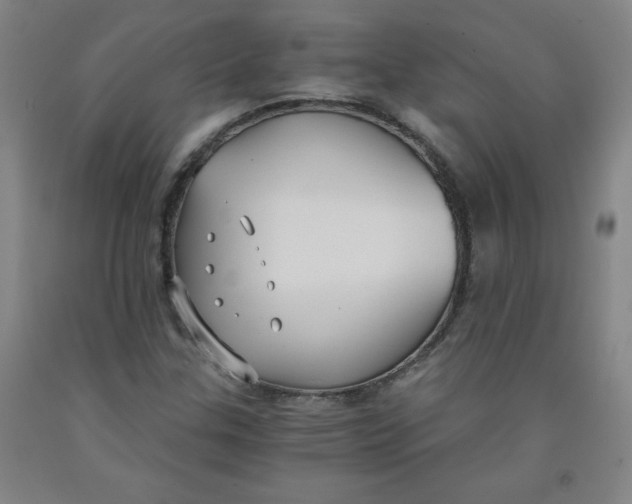 X0000091881307200709261343