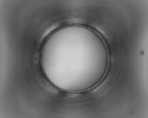 X0000091881309200709261343