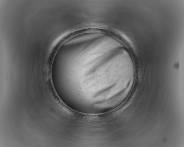 X0000091881310200709261343