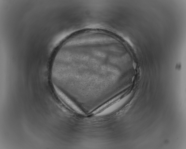 X0000091881311200709261343