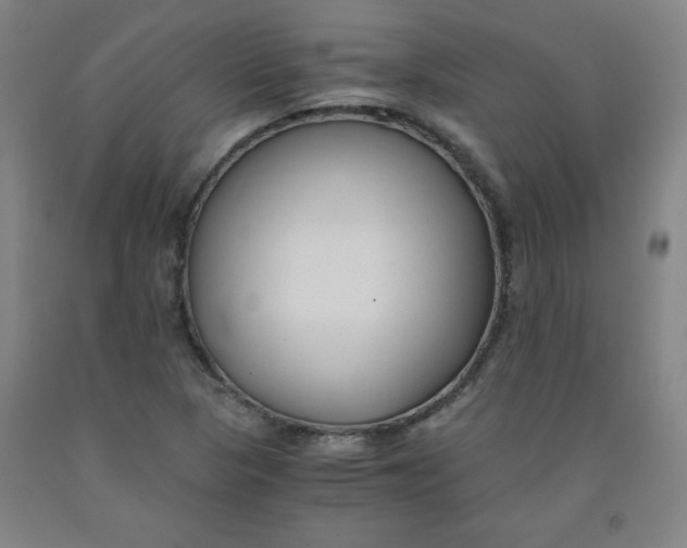 X0000091881313200709261343