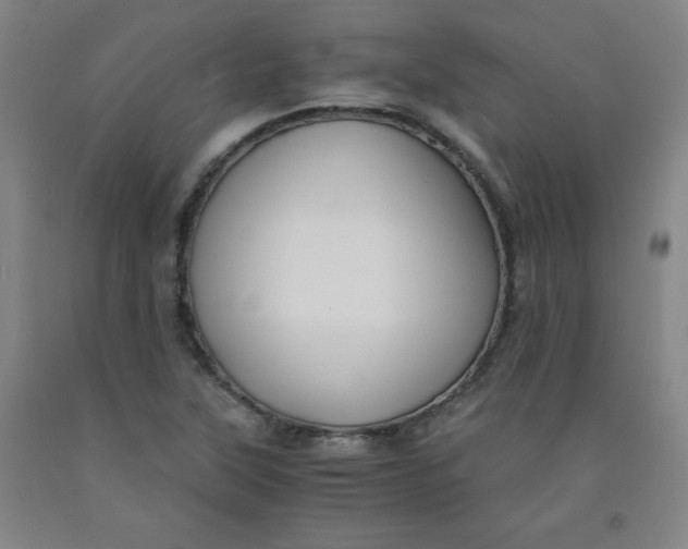 X0000091881315200709261343