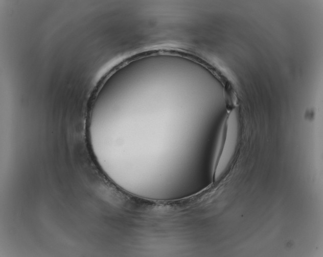 X0000091881316200709261343