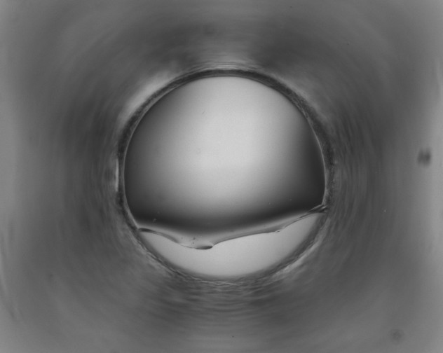 X0000091881317200709261343