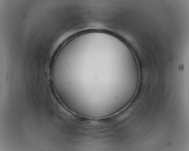 X0000091881318200709261343