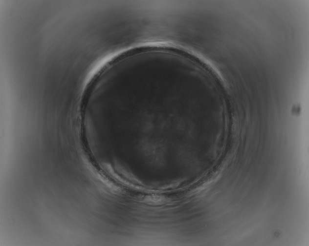 X0000091881319200709261343