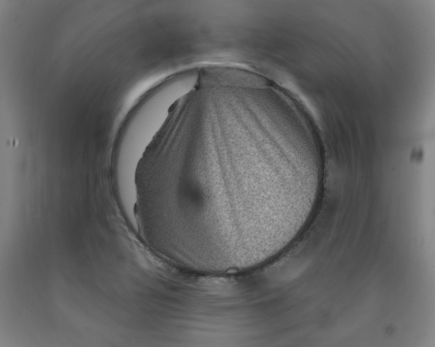 X0000091881320200709261343