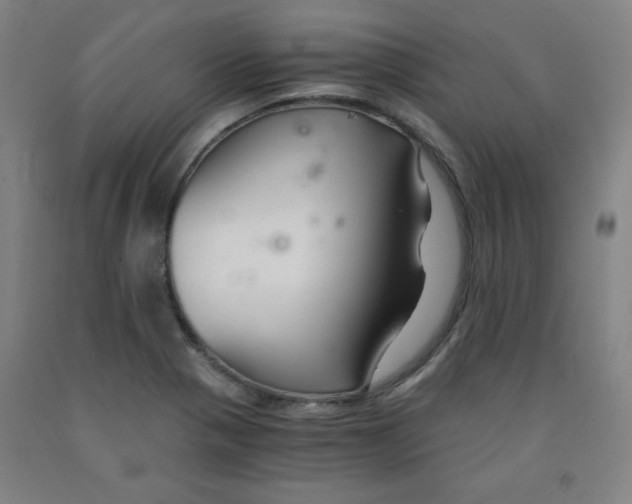 X0000091881321200709261343