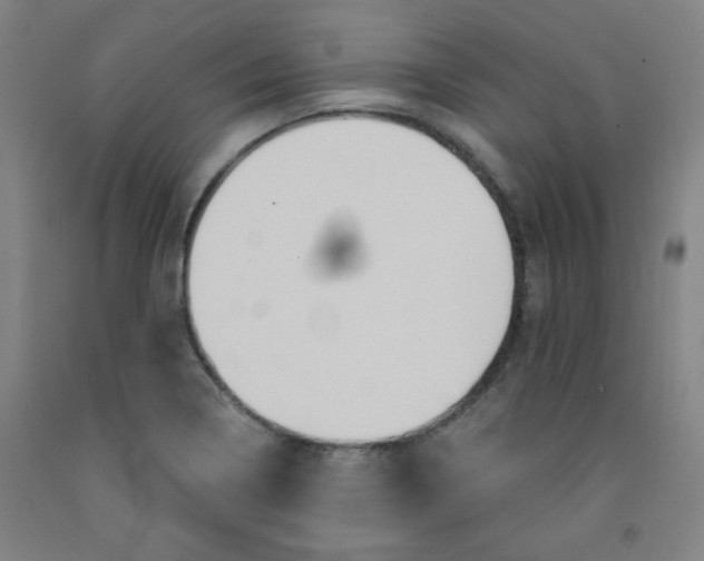 X0000091881322200709261343