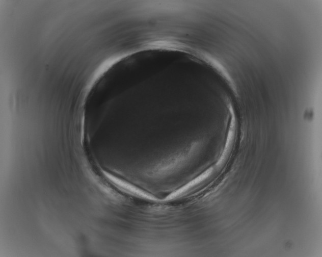 X0000091881323200709261343