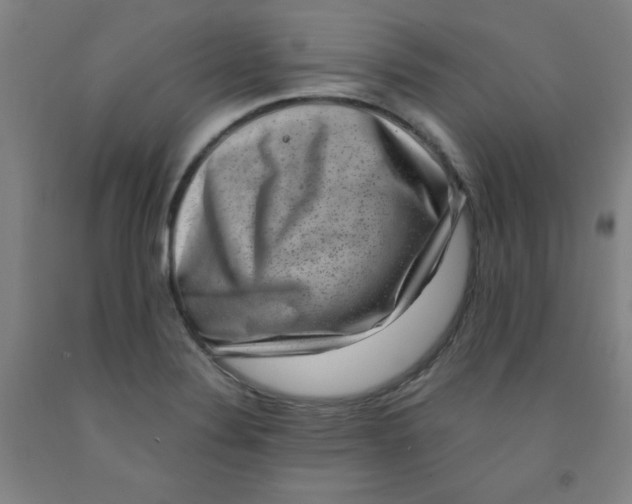 X0000091881324200709261343