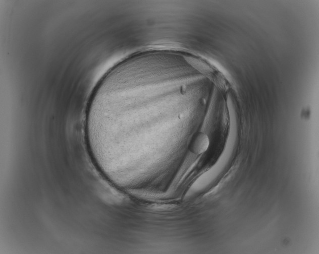 X0000091881325200709261343