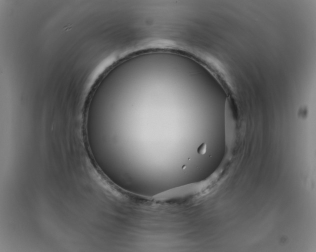 X0000091881326200709261343