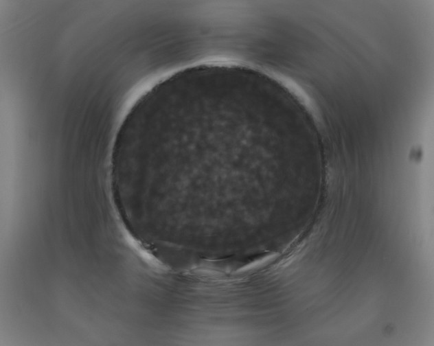 X0000091881327200709261343