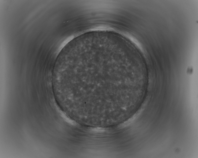 X0000091881329200709261343