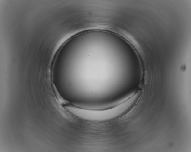 X0000091881332200709261343