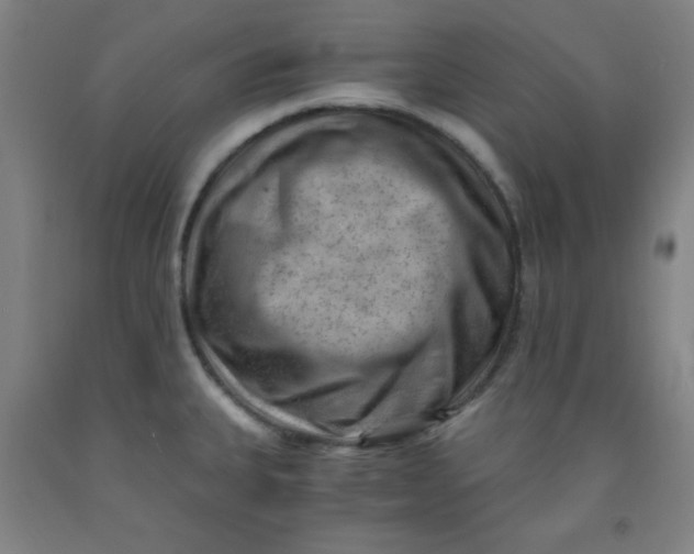 X0000091881335200709261343