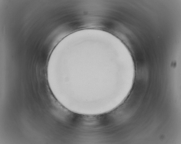 X0000091881338200709261343