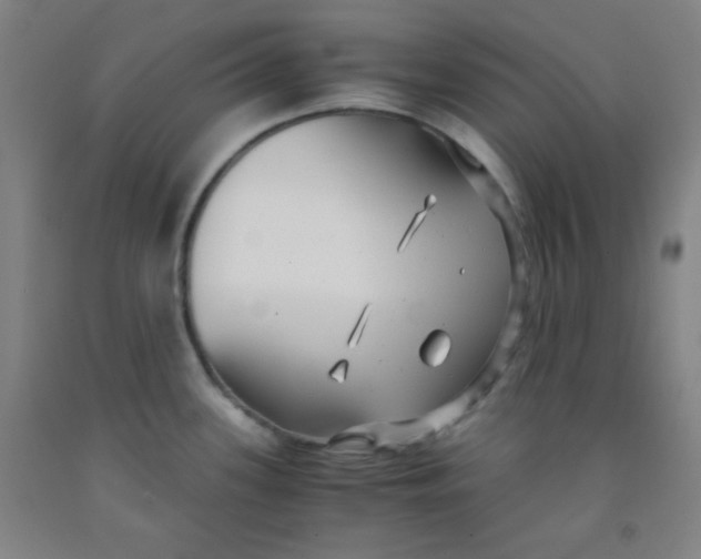 X0000091881339200709261343