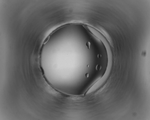 X0000091881340200709261343