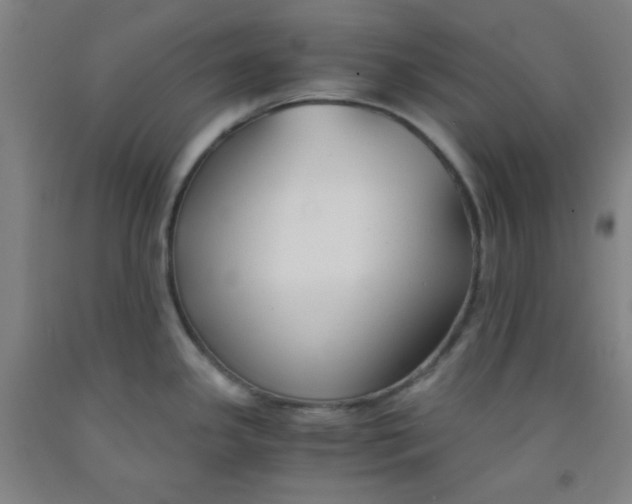 X0000091881341200709261343