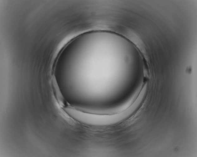 X0000091881342200709261343