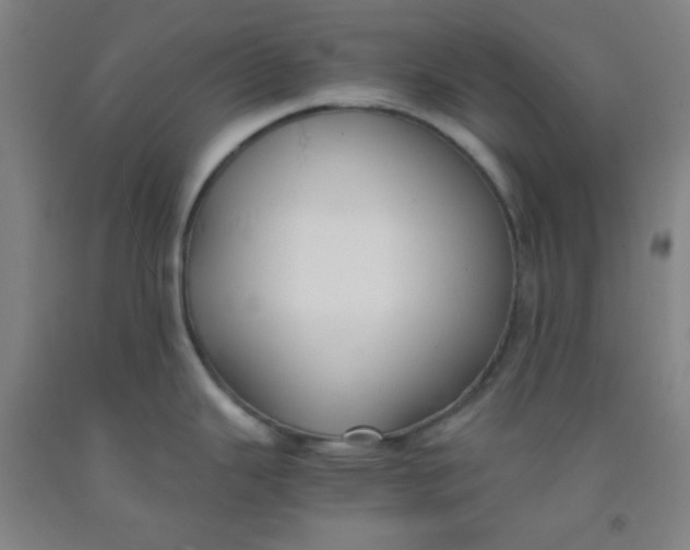 X0000091881343200709261343