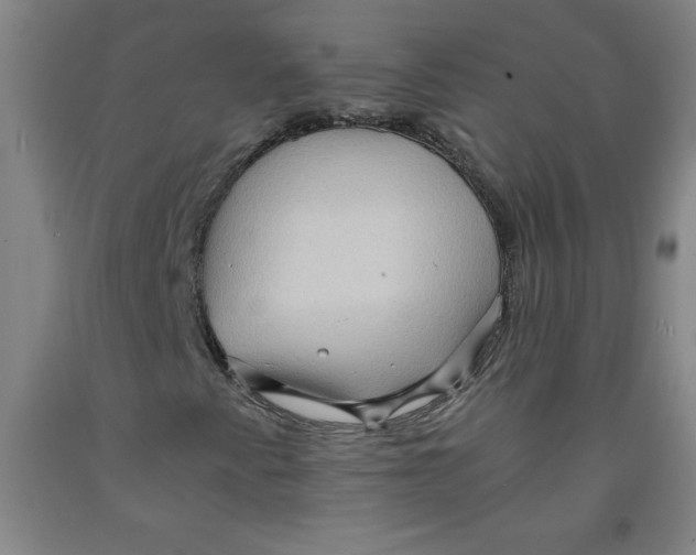 X0000091881345200709261343